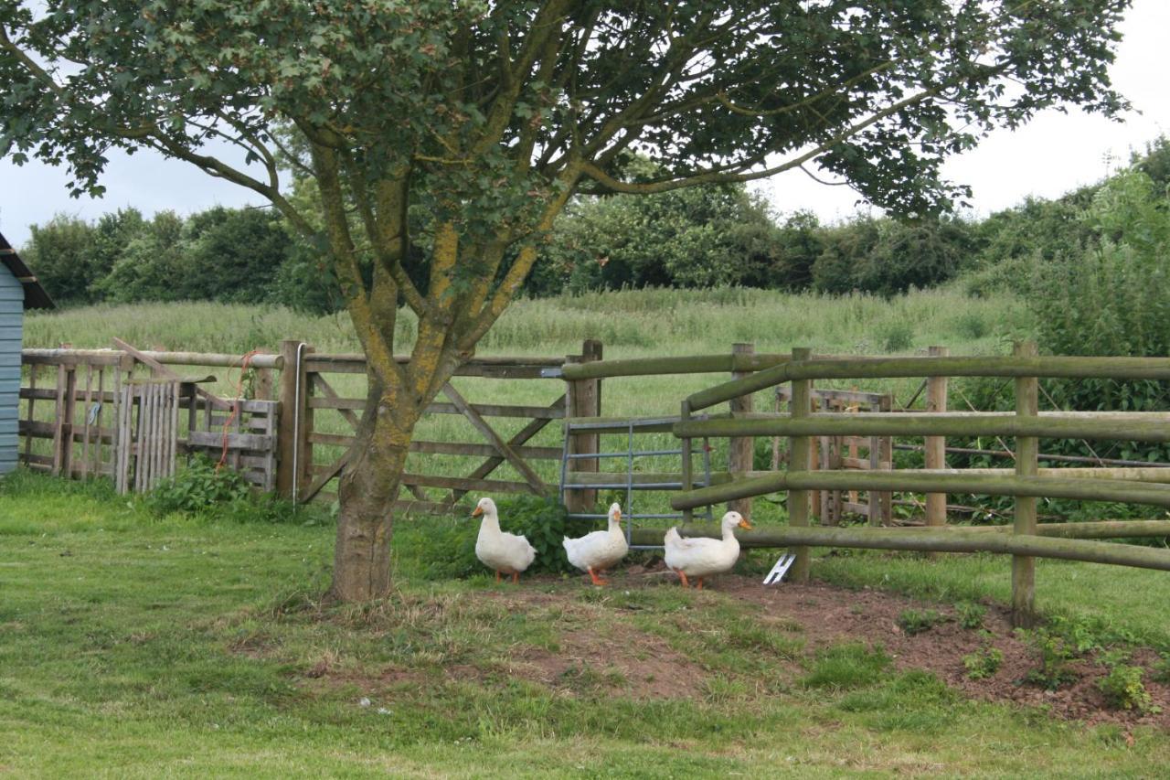 Greenway Farm Bridgwater Exterior foto
